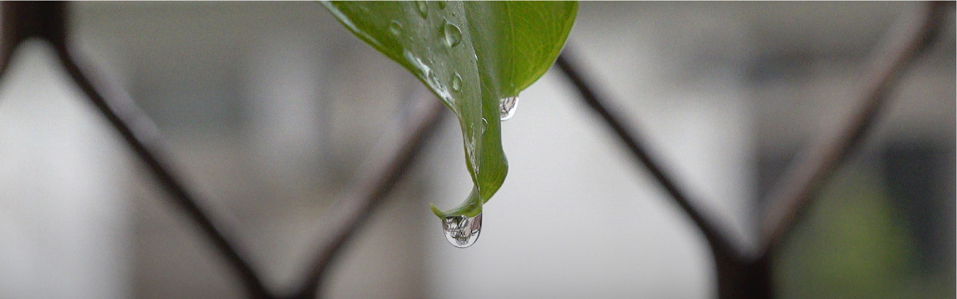 水資源危機對策　讓「水逆行」再回用